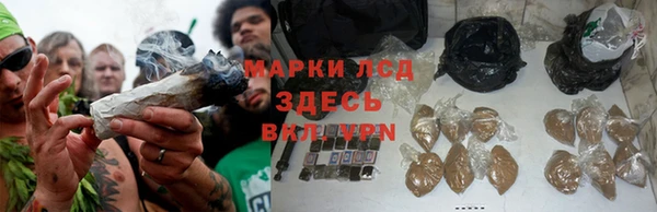 прущий лед Абаза