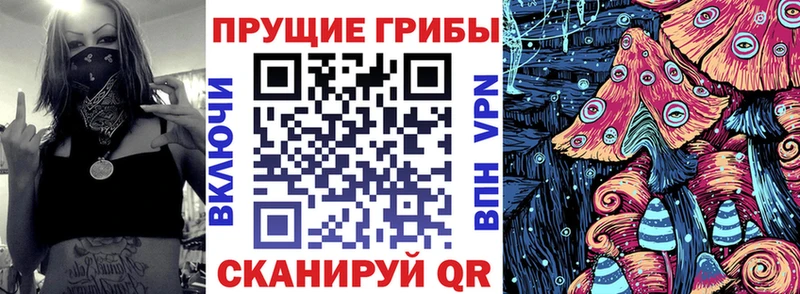 купить наркотик  KRAKEN ссылка  Псилоцибиновые грибы ЛСД  Мамадыш 
